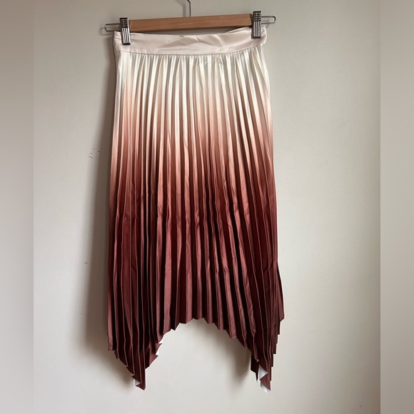 Petite Studio Calla Pleated Skirt in Rust, size XXS - Picture 9 of 16